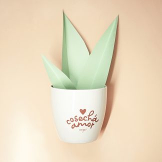 DETALLES que hacen sonreír